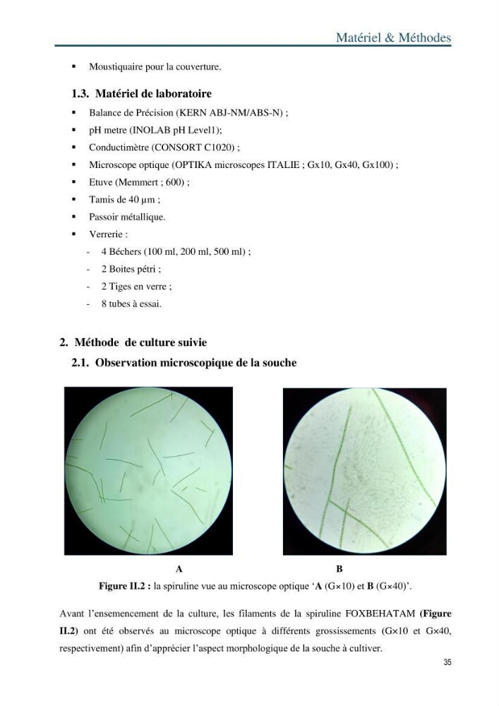 Production de la spiruline (Arthrospira platensis) dans des conditions de culture différentes