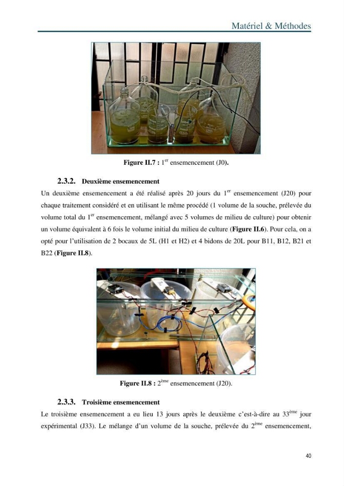 Production de la spiruline (Arthrospira platensis) dans des conditions de culture différentes