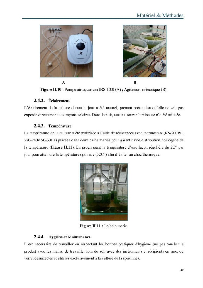 Production de la spiruline (Arthrospira platensis) dans des conditions de culture différentes