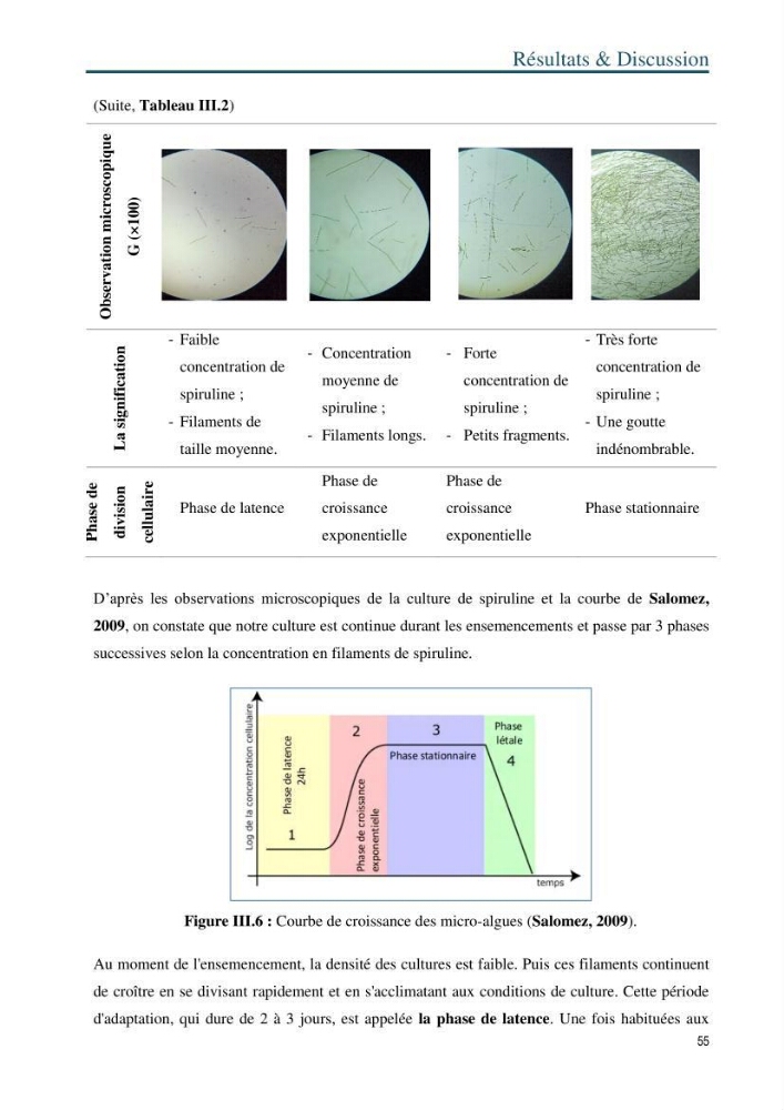 Production de la spiruline (Arthrospira platensis) dans des conditions de culture différentes