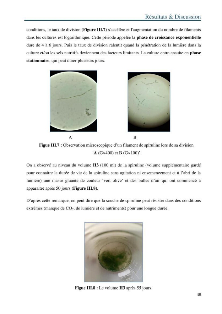 Production de la spiruline (Arthrospira platensis) dans des conditions de culture différentes