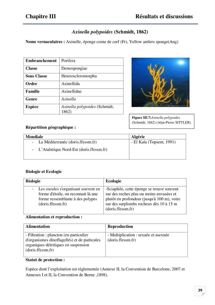 Inventaire des Spongiaires et des Bryozoaires de la côte Algérienne: