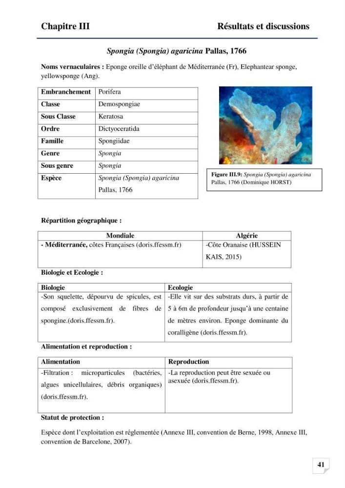 Inventaire des Spongiaires et des Bryozoaires de la côte Algérienne: