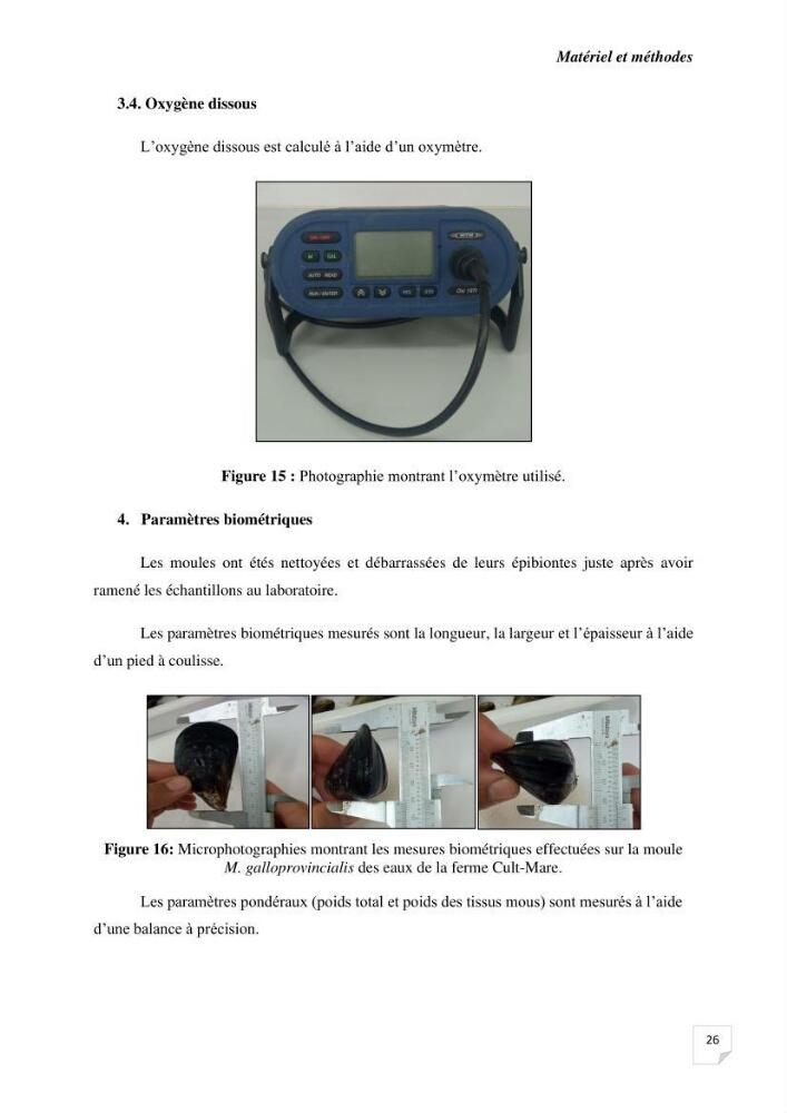 Biosurveillance active de la moule Mytilus galloprovincialis pour le suivi de la pollution d’une ferme conchylicole