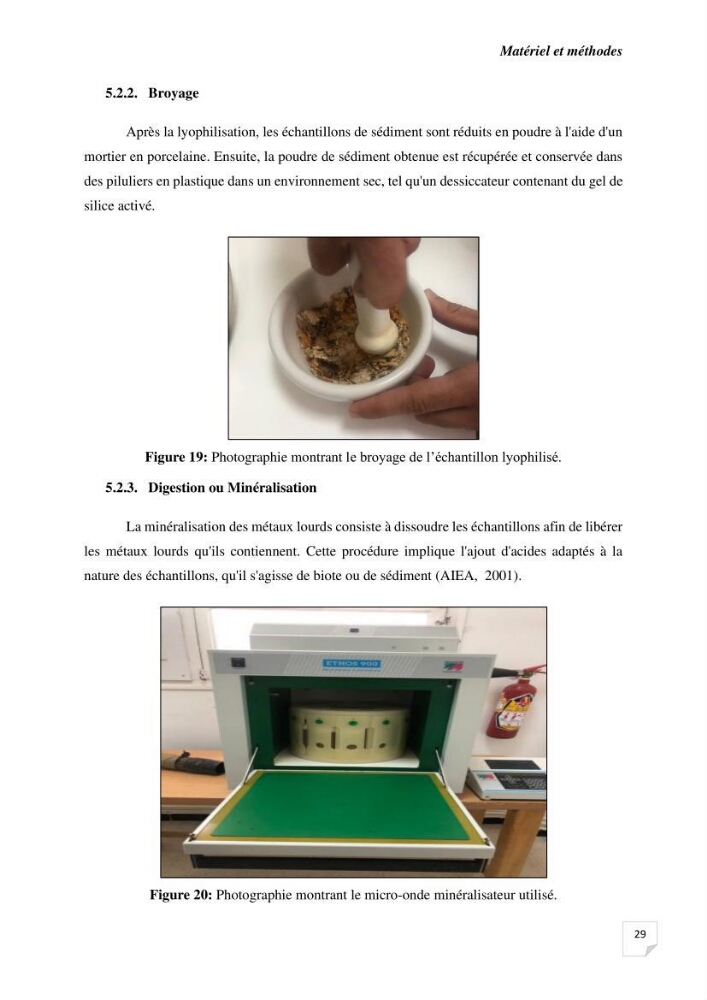 Biosurveillance active de la moule Mytilus galloprovincialis pour le suivi de la pollution d’une ferme conchylicole