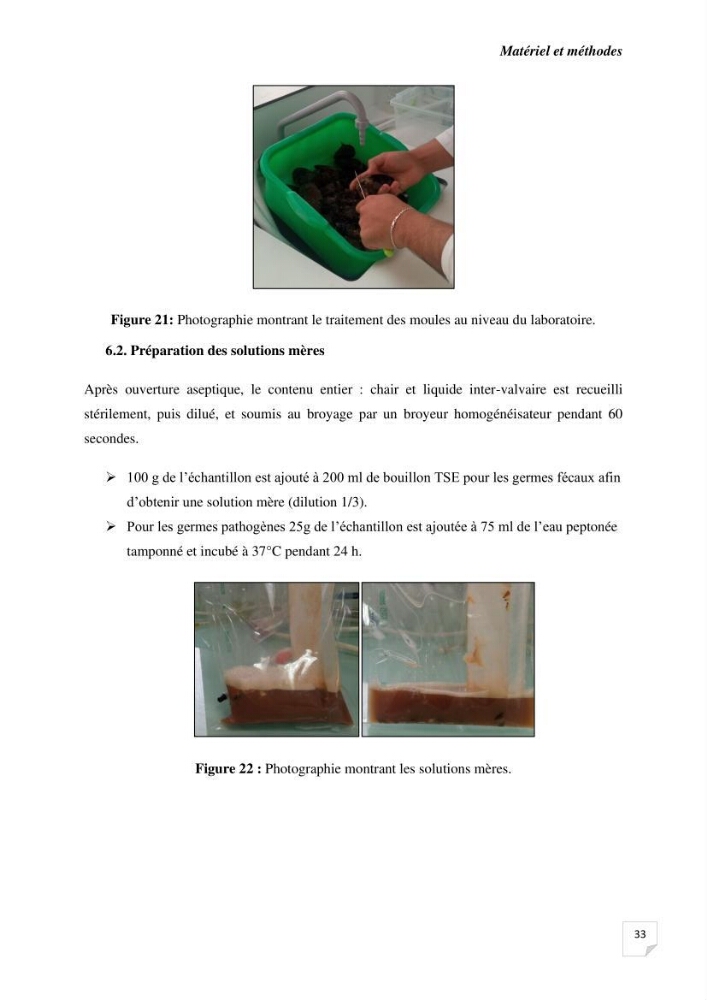 Biosurveillance active de la moule Mytilus galloprovincialis pour le suivi de la pollution d’une ferme conchylicole
