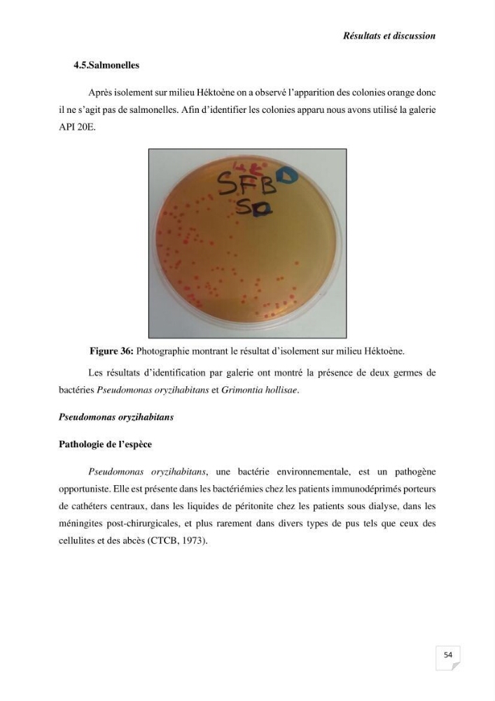 Biosurveillance active de la moule Mytilus galloprovincialis pour le suivi de la pollution d’une ferme conchylicole