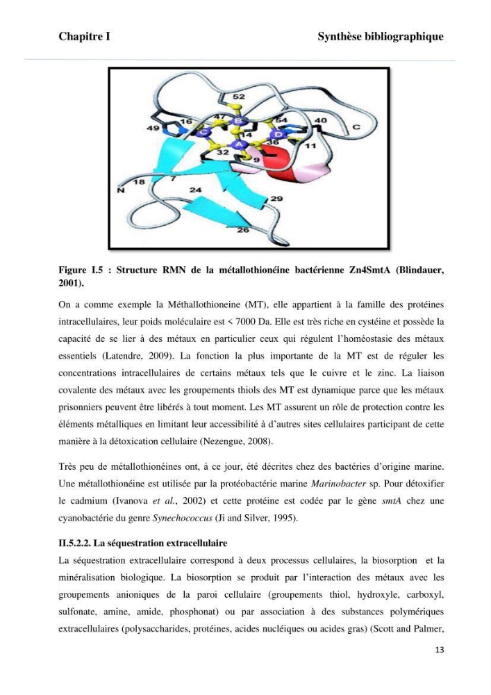 Evaluation et isolement des bactéries tolérantes aux métaux lourds