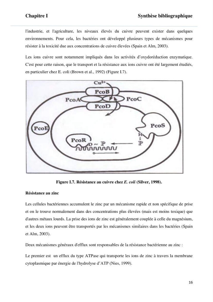 Evaluation et isolement des bactéries tolérantes aux métaux lourds