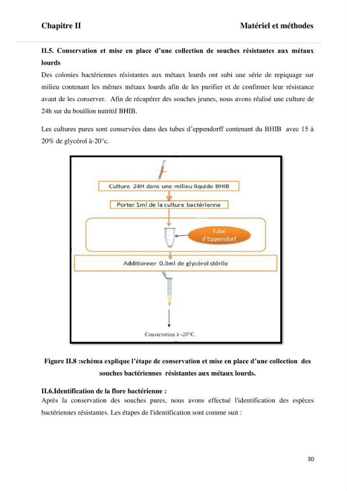 Evaluation et isolement des bactéries tolérantes aux métaux lourds