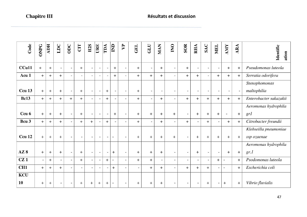 Evaluation et isolement des bactéries tolérantes aux métaux lourds