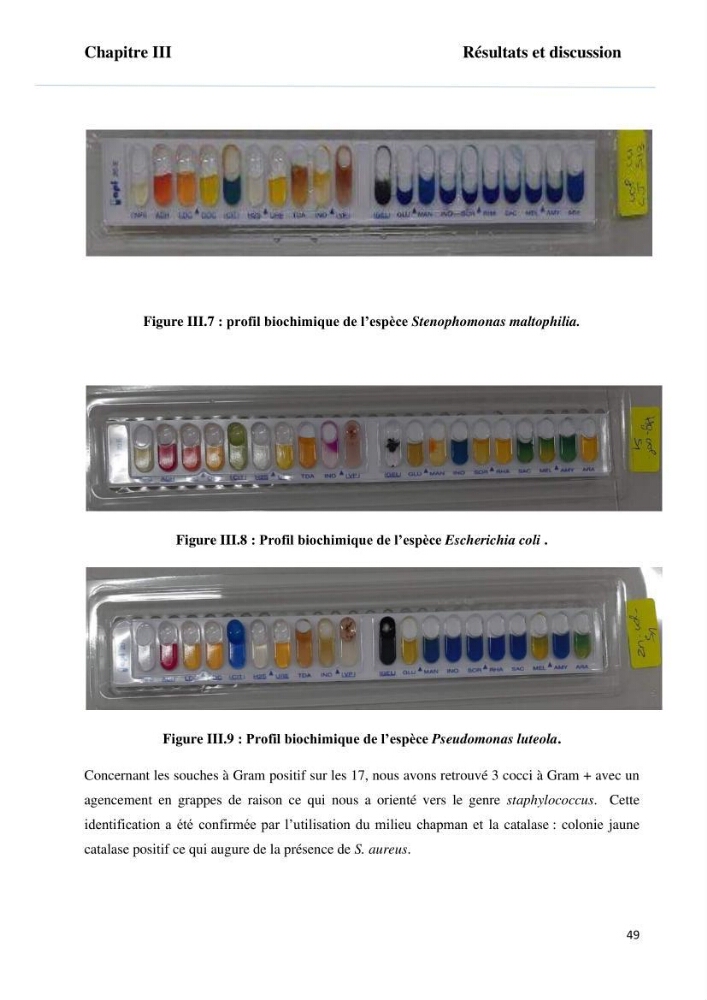 Evaluation et isolement des bactéries tolérantes aux métaux lourds