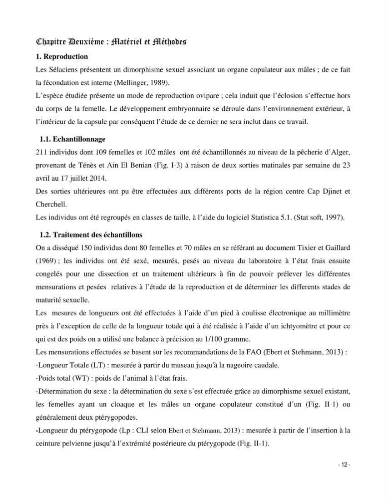 Contribution à la biologie de Galeus melastomus (Elasmobranches, Sscyliorhinidae dans la région centre de la côte algérienne: