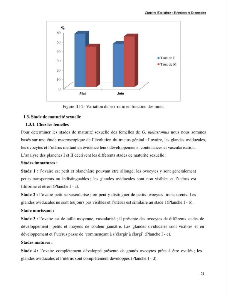 Contribution à la biologie de Galeus melastomus (Elasmobranches, Sscyliorhinidae dans la région centre de la côte algérienne: