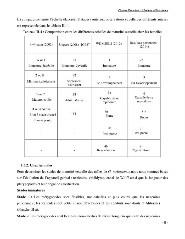 Contribution à la biologie de Galeus melastomus (Elasmobranches, Sscyliorhinidae dans la région centre de la côte algérienne: