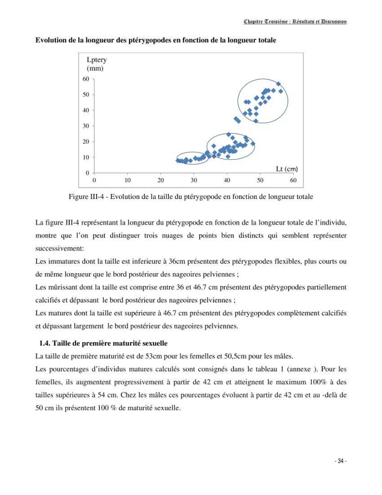 Contribution à la biologie de Galeus melastomus (Elasmobranches, Sscyliorhinidae dans la région centre de la côte algérienne: