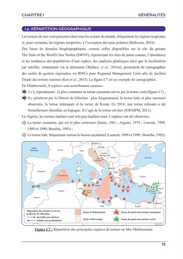 Contribution à l\'étude des échouages des tortues marines le long du littoral algérien