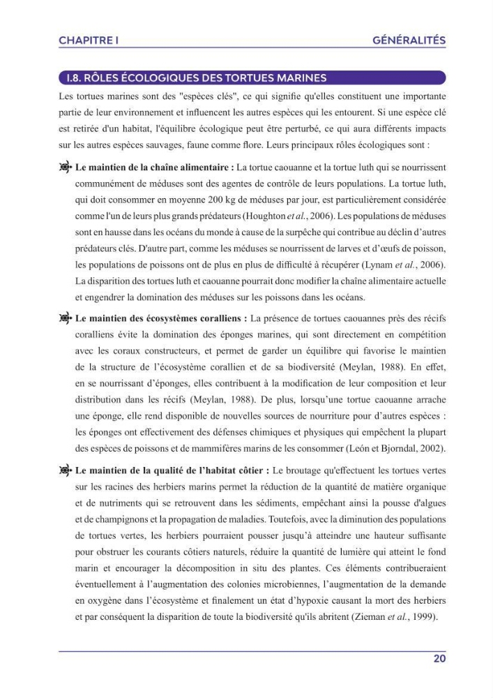 Contribution à l\'étude des échouages des tortues marines le long du littoral algérien