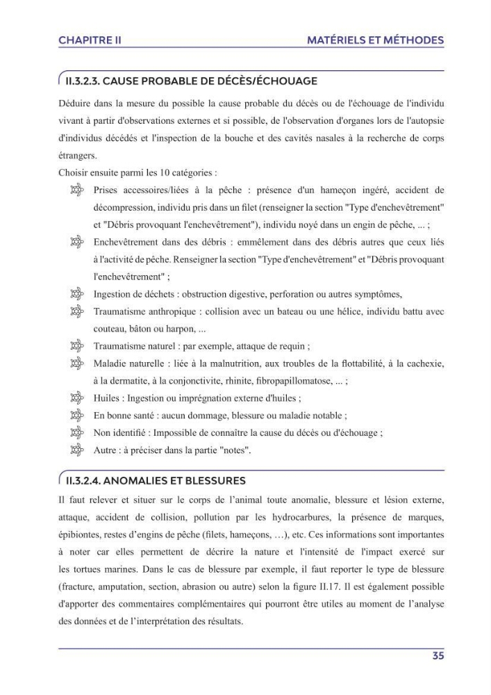 Contribution à l\'étude des échouages des tortues marines le long du littoral algérien