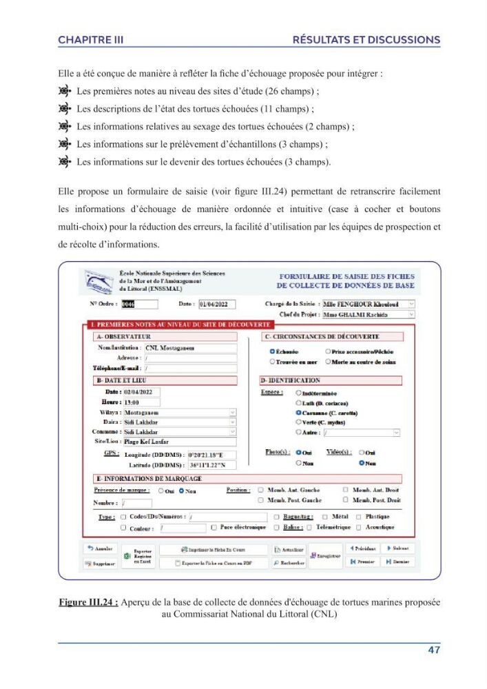 Contribution à l\'étude des échouages des tortues marines le long du littoral algérien