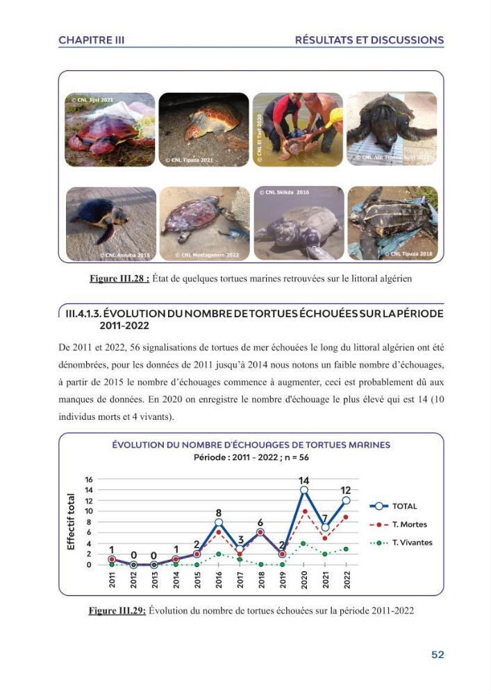 Contribution à l\'étude des échouages des tortues marines le long du littoral algérien