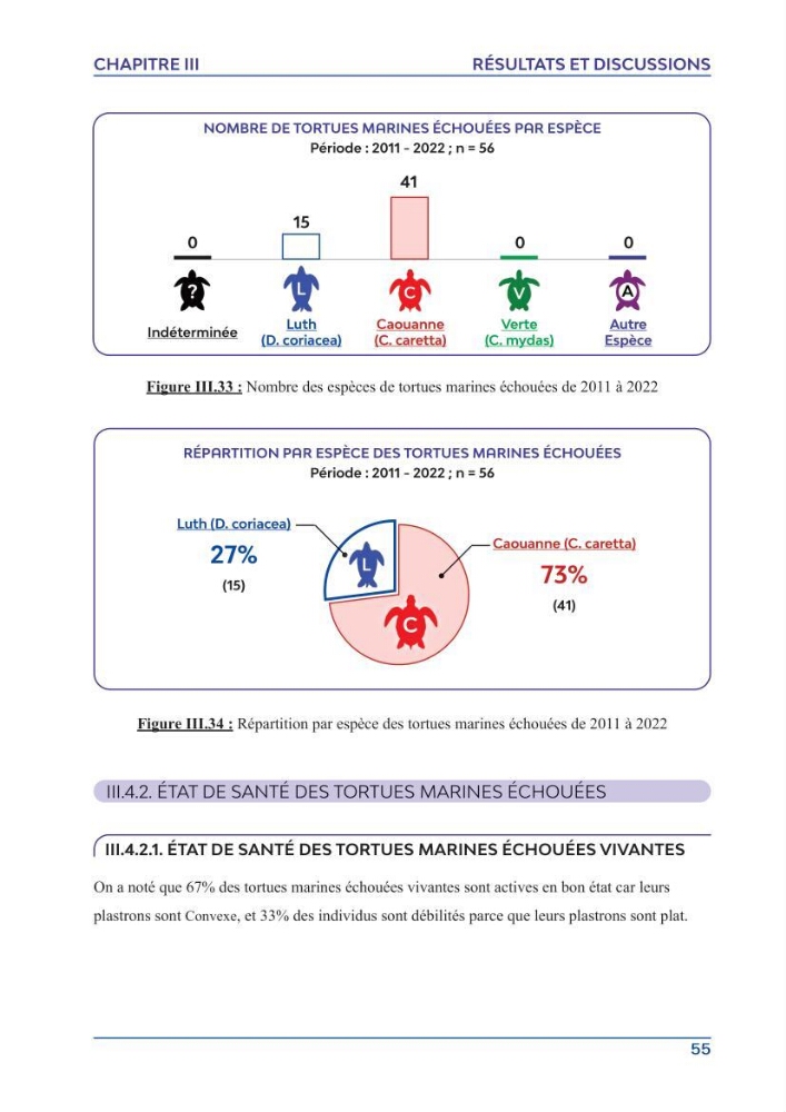 Contribution à l\'étude des échouages des tortues marines le long du littoral algérien