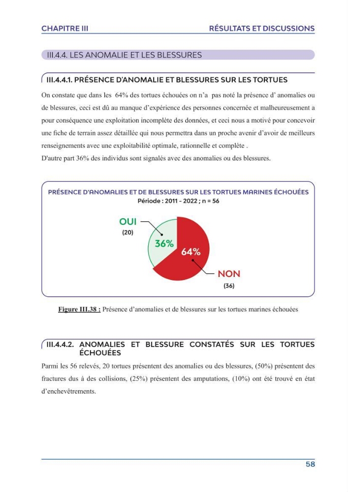 Contribution à l\'étude des échouages des tortues marines le long du littoral algérien