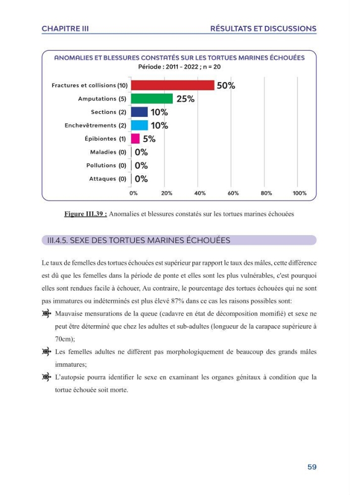 Contribution à l\'étude des échouages des tortues marines le long du littoral algérien