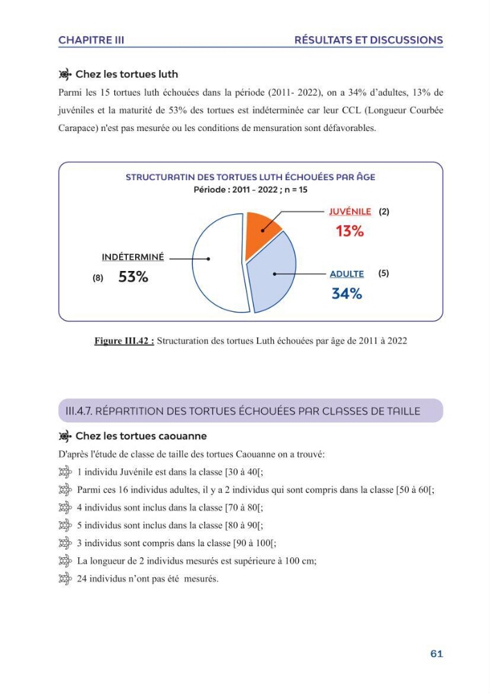 Contribution à l\'étude des échouages des tortues marines le long du littoral algérien