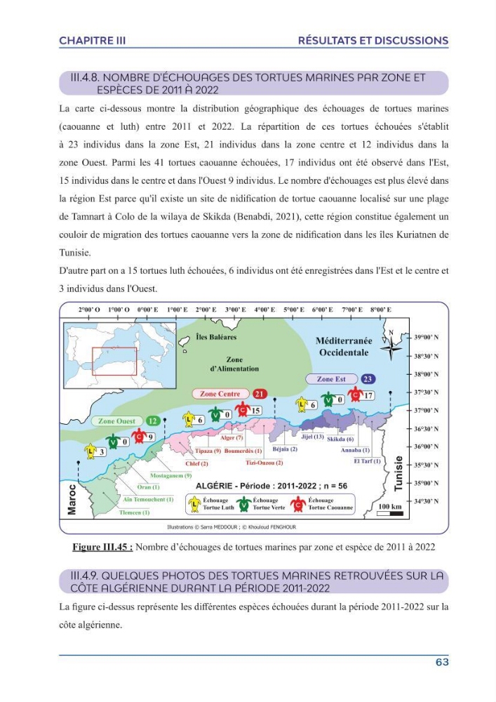 Contribution à l\'étude des échouages des tortues marines le long du littoral algérien