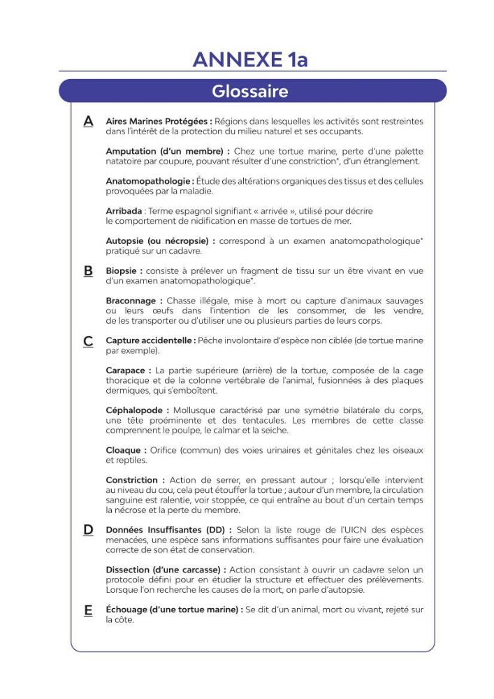 Contribution à l\'étude des échouages des tortues marines le long du littoral algérien
