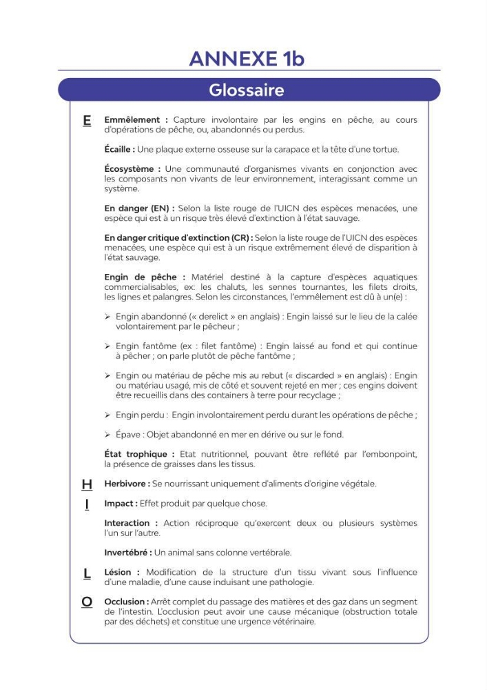 Contribution à l\'étude des échouages des tortues marines le long du littoral algérien