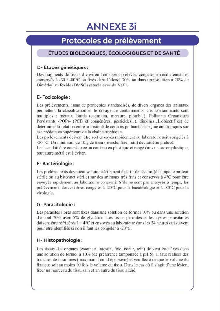 Contribution à l\'étude des échouages des tortues marines le long du littoral algérien