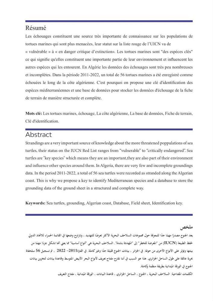 Contribution à l\'étude des échouages des tortues marines le long du littoral algérien