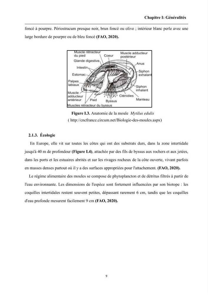 Contribution à l’évaluation de la qualité environmental d’une ferme aquacole: