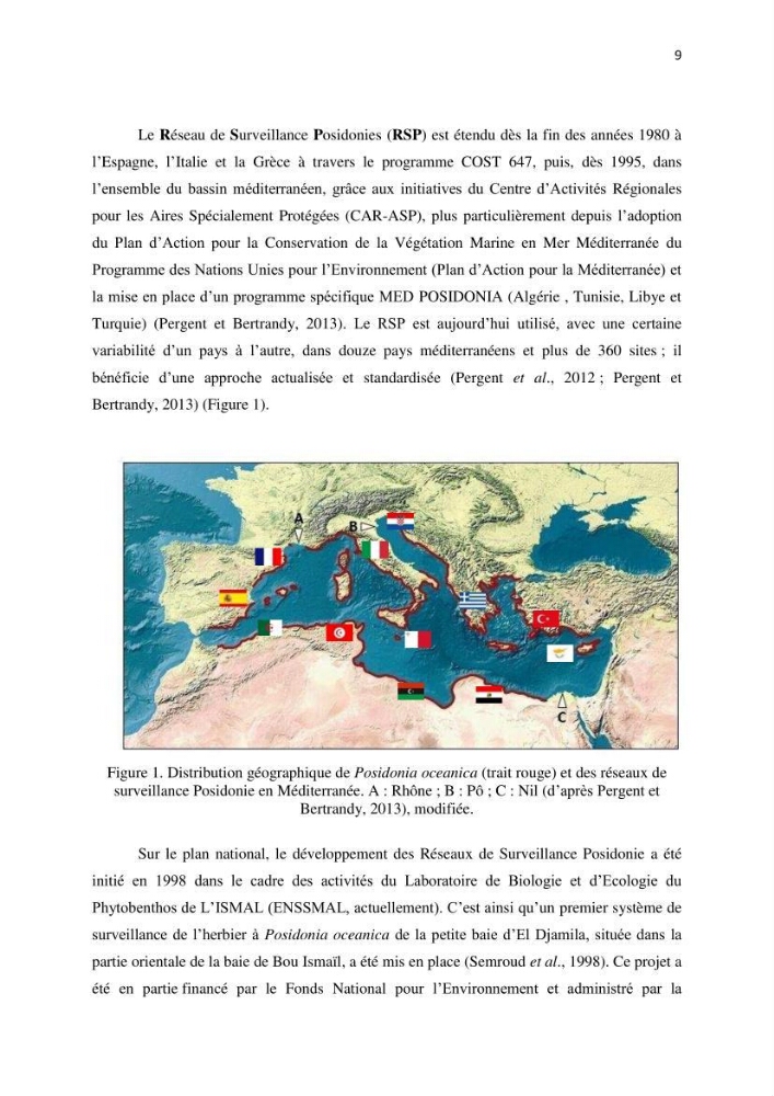 La mise en place d\'un réseau de surveillance de l\'herbier à posidonia oceanica de Boui-Ismail
