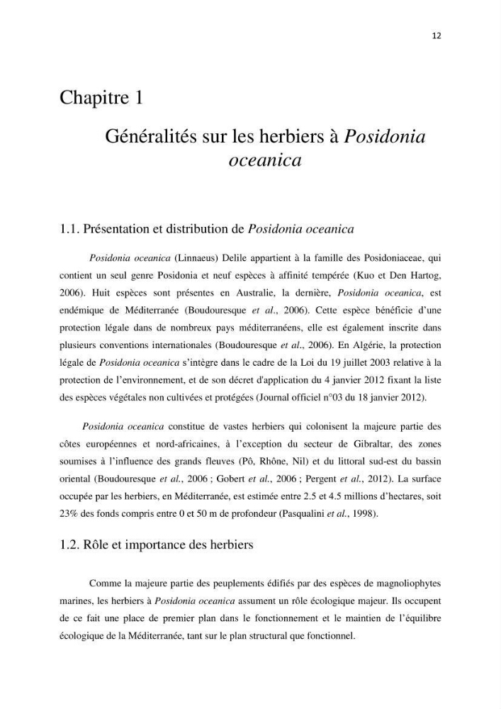 La mise en place d\'un réseau de surveillance de l\'herbier à posidonia oceanica de Boui-Ismail