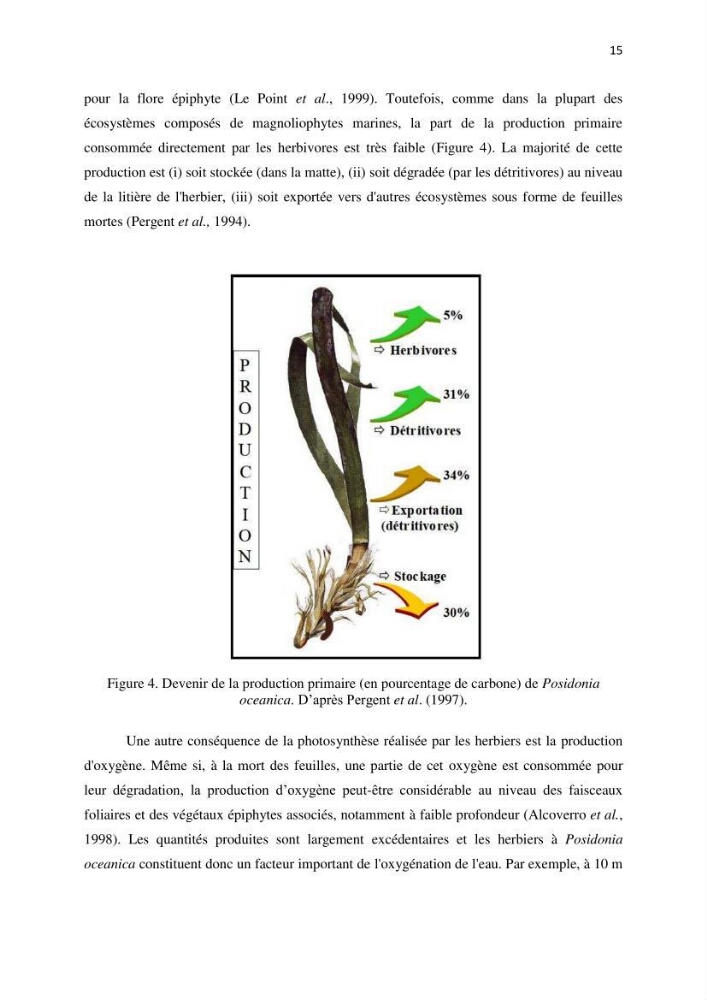 La mise en place d\'un réseau de surveillance de l\'herbier à posidonia oceanica de Boui-Ismail
