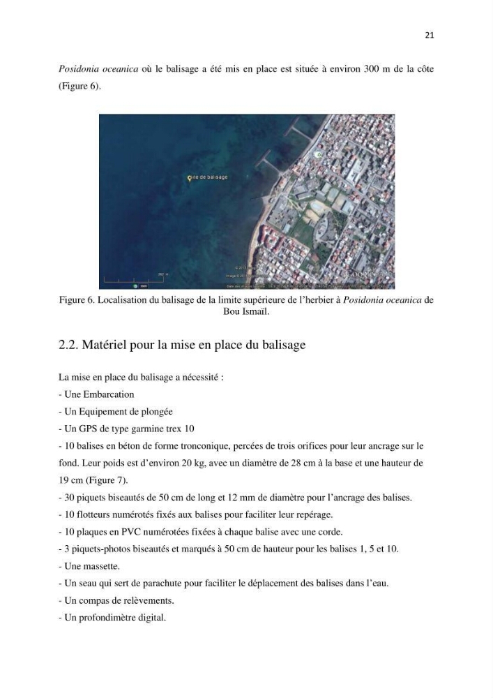La mise en place d\'un réseau de surveillance de l\'herbier à posidonia oceanica de Boui-Ismail