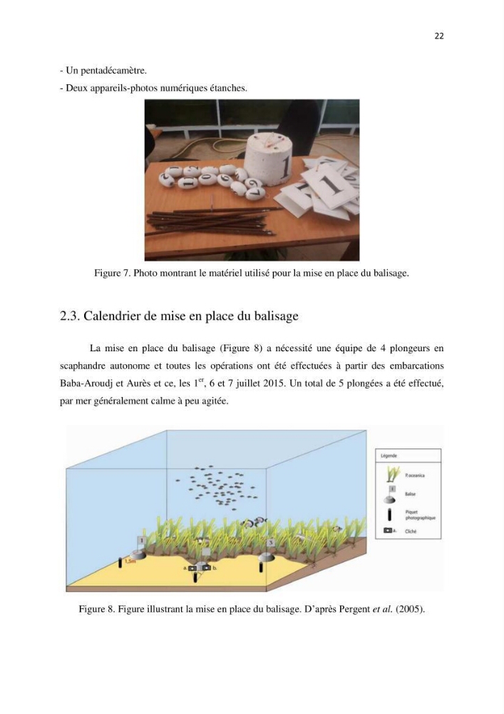 La mise en place d\'un réseau de surveillance de l\'herbier à posidonia oceanica de Boui-Ismail