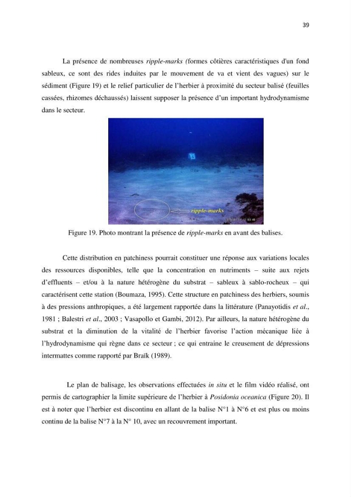 La mise en place d\'un réseau de surveillance de l\'herbier à posidonia oceanica de Boui-Ismail