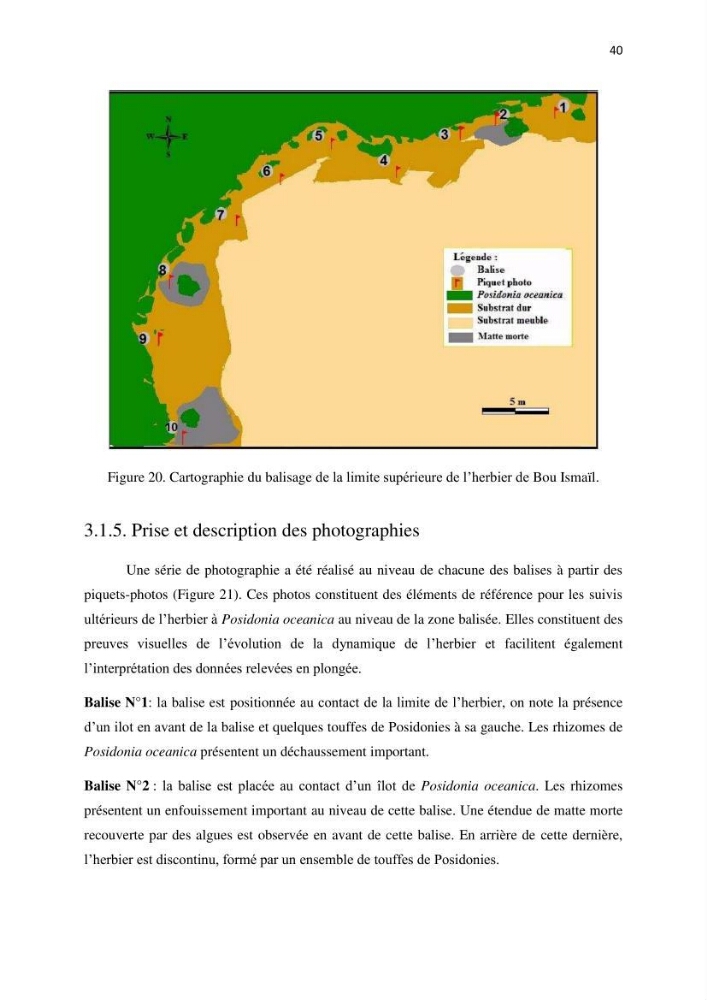 La mise en place d\'un réseau de surveillance de l\'herbier à posidonia oceanica de Boui-Ismail
