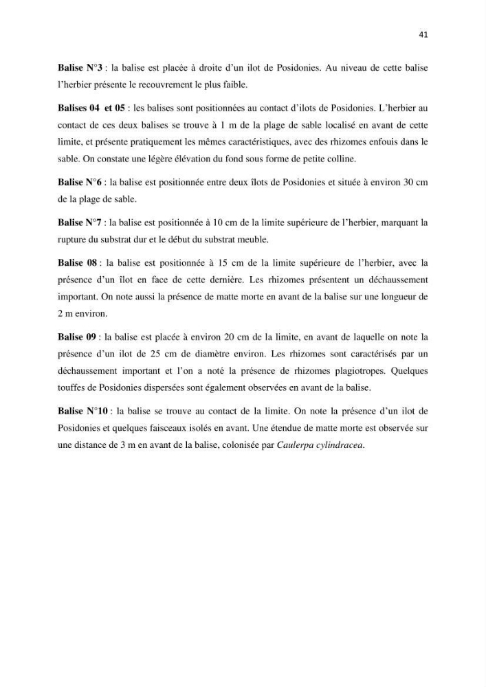 La mise en place d\'un réseau de surveillance de l\'herbier à posidonia oceanica de Boui-Ismail