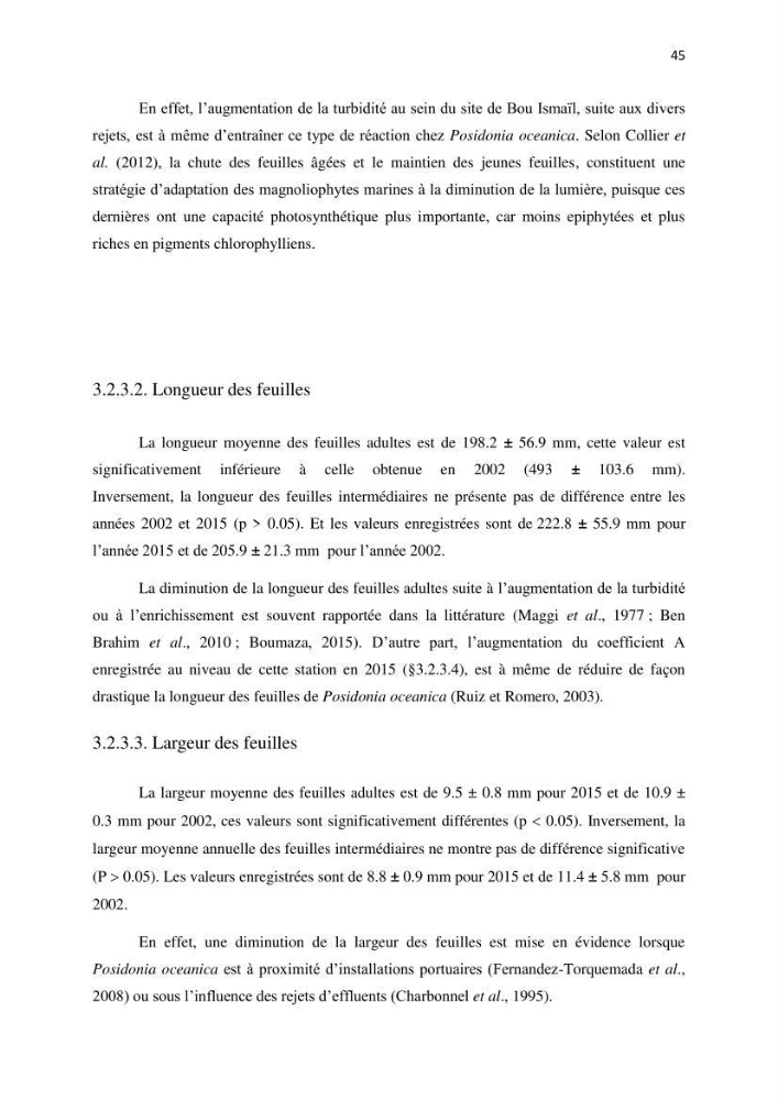La mise en place d\'un réseau de surveillance de l\'herbier à posidonia oceanica de Boui-Ismail