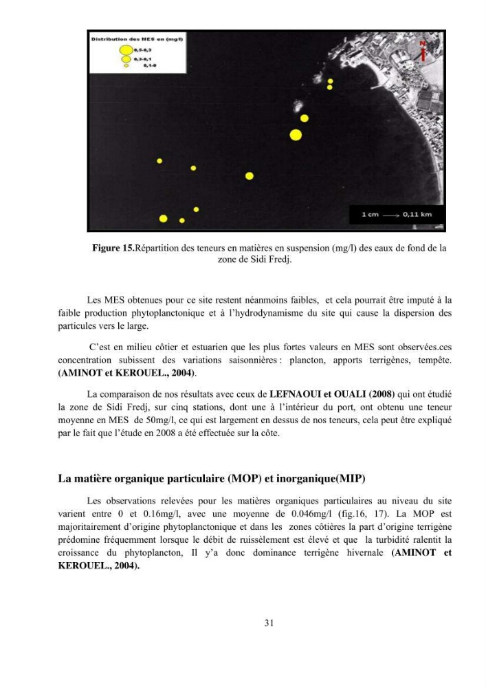 Etude hydrosédimentaire pour l\'installation d\'une filière conhylicole dans la zone ouest de la presqu\'île de Sidi Fredj