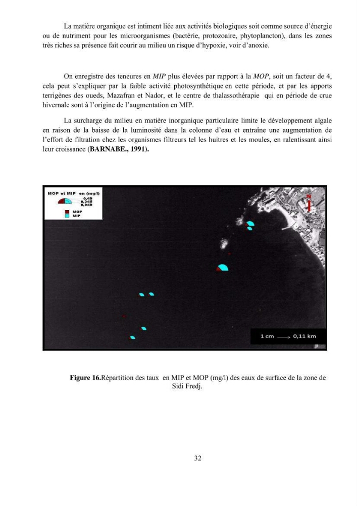 Etude hydrosédimentaire pour l\'installation d\'une filière conhylicole dans la zone ouest de la presqu\'île de Sidi Fredj