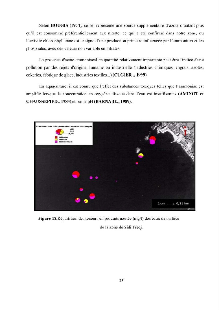 Etude hydrosédimentaire pour l\'installation d\'une filière conhylicole dans la zone ouest de la presqu\'île de Sidi Fredj