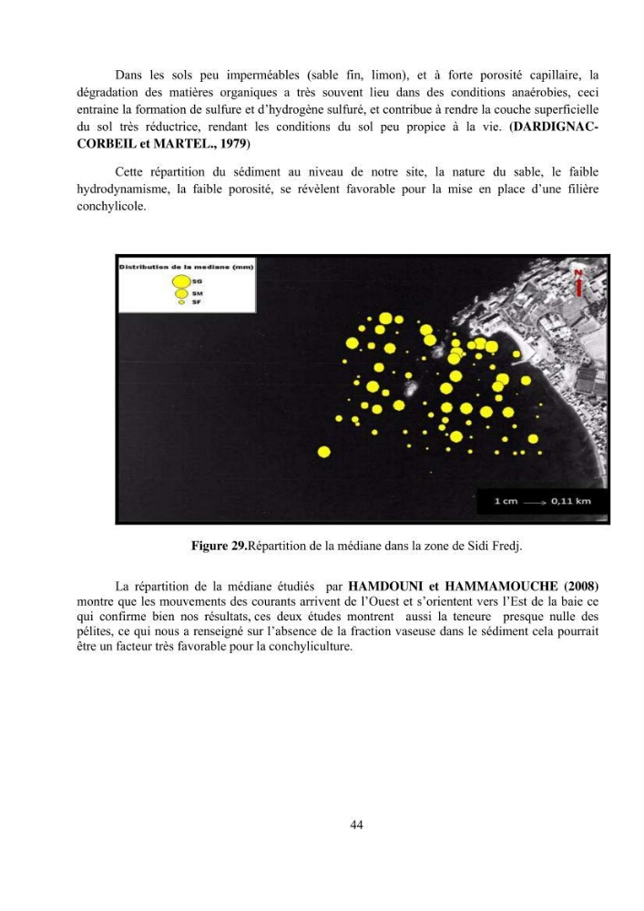 Etude hydrosédimentaire pour l\'installation d\'une filière conhylicole dans la zone ouest de la presqu\'île de Sidi Fredj