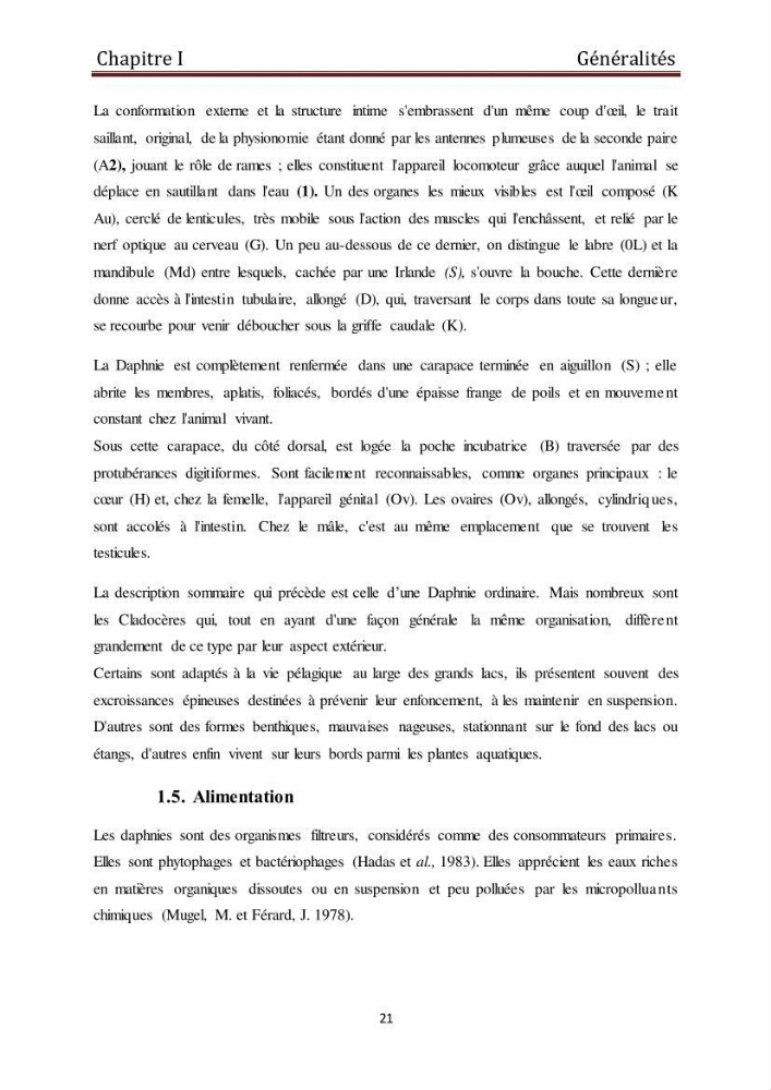 Les daphnies : caractéristiques, production et valorisation