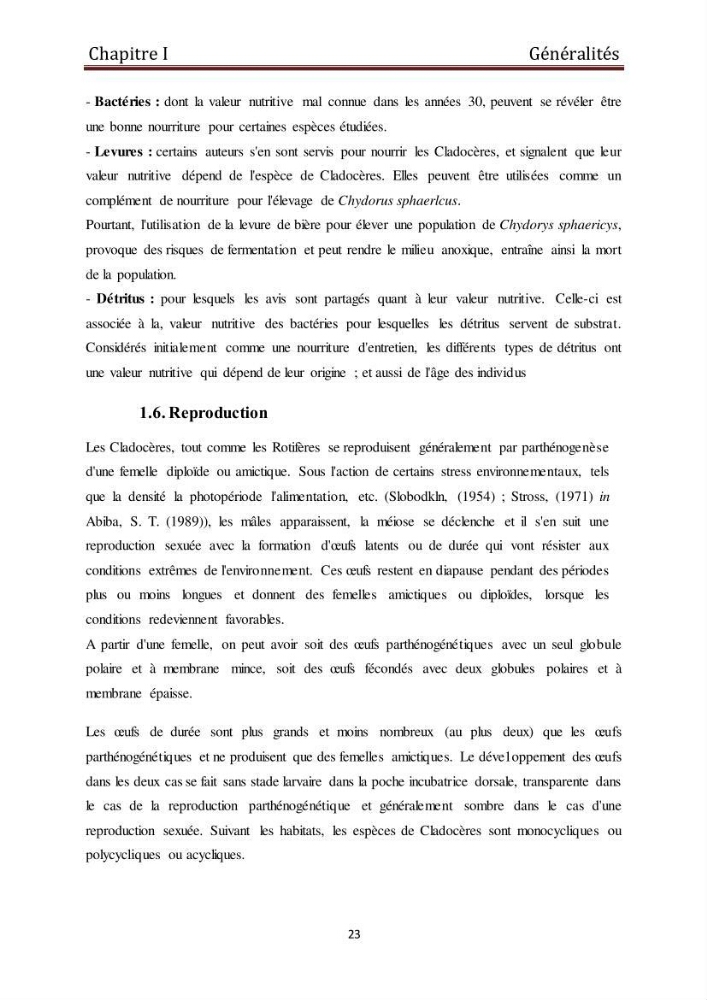 Les daphnies : caractéristiques, production et valorisation